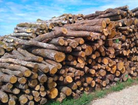 Bois des Domes, spÃ©cialiste en bois de chauffage