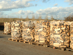 Bois des DÃ´mes, bois de chauffage Premium palette, Puy-de-DÃ´mes